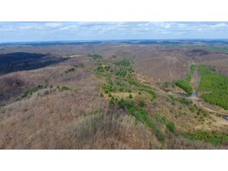 Property photo 28 - LAND AUCTION - 2,596+/- ACRES IN 28 TRACTS IN COSHOCTON & MUSKINGUM COUNTIES, OHIO